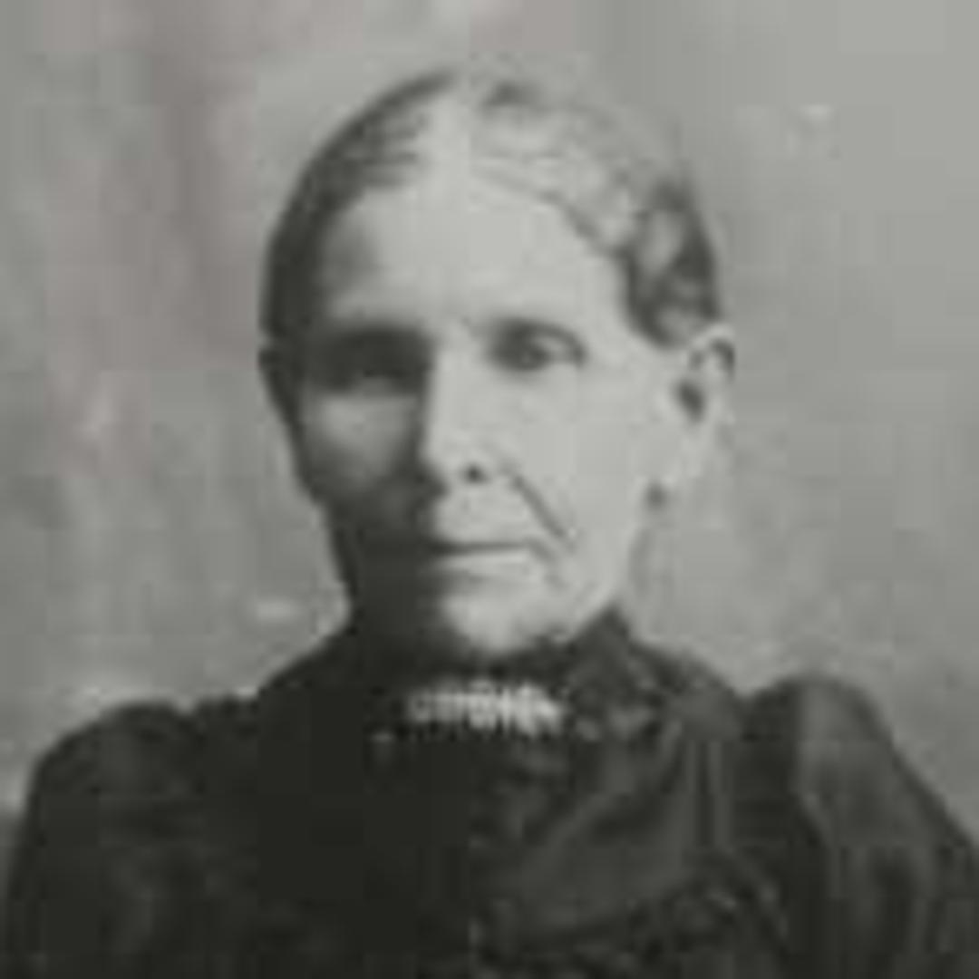 Sarah Elizabeth Henderson (1836 - 1911) Profile